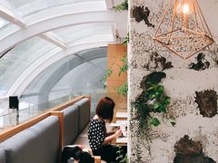 -农畉LONFOOD(福田星河COCOPark店)