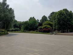 -望湖公园