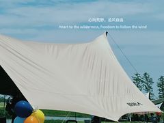 -春花秋色城市公园