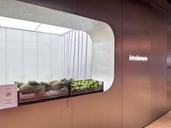 -introlemons(北京西单更新场店)