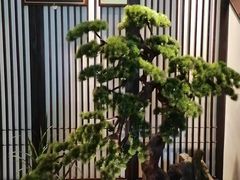 -溪畔•新徽菜(碧湖云溪店)