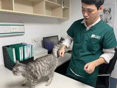 -宠颐生动物医院·猫科·心脏科(海口分院)