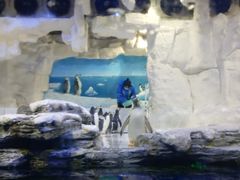 -华夏文旅西安度假区