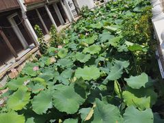 -丝绸小镇荻港古村