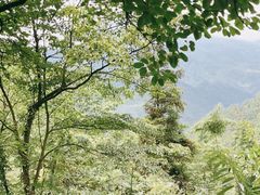 -西岭雪山大飞水景区