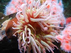 -西雅图水族馆