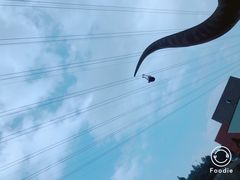 -梦幻奥陶纪景区