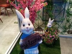 -苗小坛酸汤鱼(酒仙桥店)