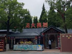 -大槐树寻根祭祖园