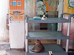 门面-肖胖子猪油拌粉