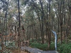 -云龙山