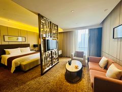 -徐州博顿温德姆酒店(高铁东站店)