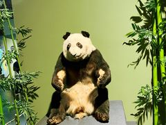-深圳博物馆