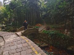 -莫干山风景区