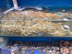 -港畔赶海蒸汽海鲜烧烤自助(仙螺岛店)