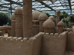 -南宫五洲植物乐园