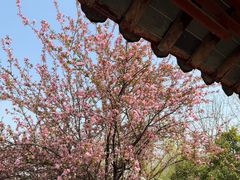 -采石矶景区