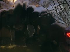 -汉拿山温泉度假酒店