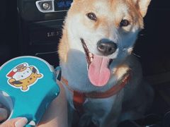 -小意思咖啡店(草桥店)