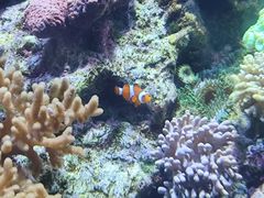 -珠海长隆海洋王国