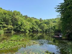 -天目湖山水园
