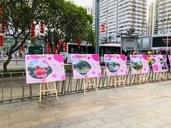 -人民公园(罗湖区)