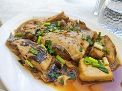 -天天渔港(杏林街店)