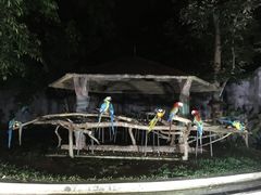 -清迈夜间动物园