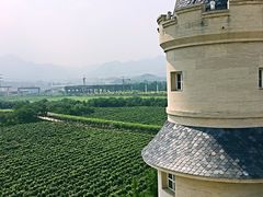 -北京张裕爱斐堡酒庄