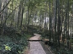 -南山风景名胜区