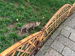 -盒马鲜生(杭州运河上街店)
