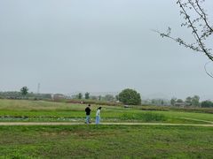 -良渚古城遗址公园