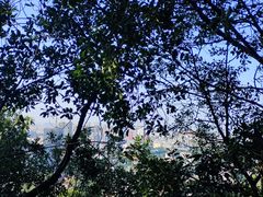-广州市白云山风景名胜区