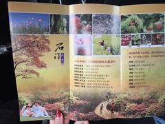 -广州市石门国家森林公园
