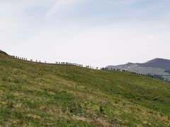 -灵山