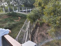 -石家庄市动物园