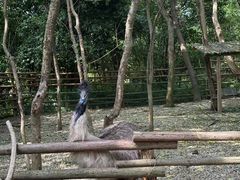 -常州淹城野生动物世界