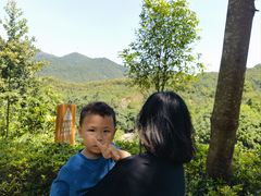 -田心森林公园