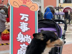 -VENCHI 闻绮(上海佛罗伦萨小镇店)