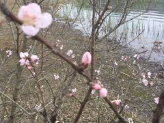 -横山水库
