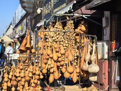 -中环花鸟鱼虫市场