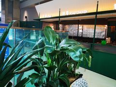 -芭莉与彩虹西餐厅(成都合生汇店)