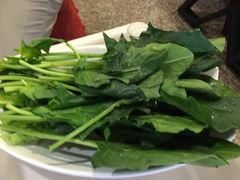 -老诚一锅·羊蝎子(广渠门外店)