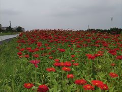 -长春世界雕塑园冰雪艺术天地