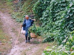 -东白山