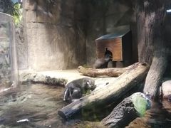 -迪拜水族馆及水下动物园