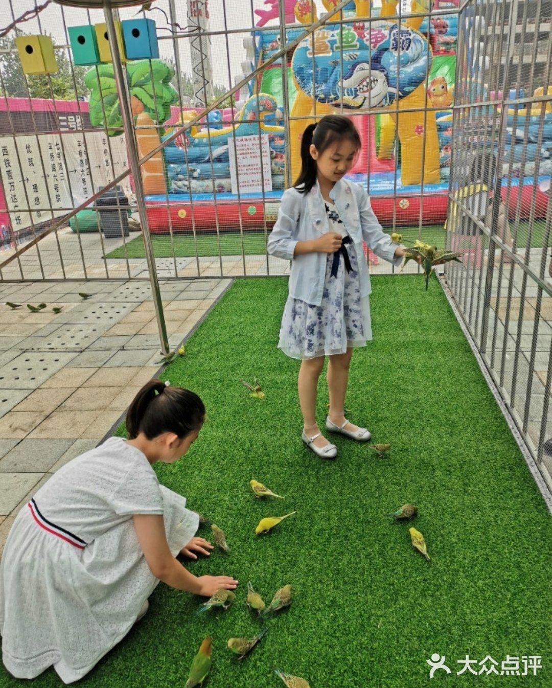 亲子必玩[礼花]亲子动物乐园[亲亲]