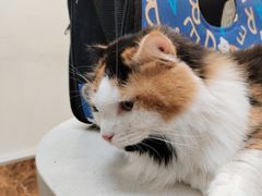 -美联众合24小时·皮肤科·外科·全科诊疗中心(华苑分院)