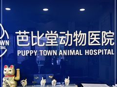-芭比堂动物医院·心脏专科·夜诊·吉雅分院