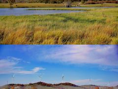 -塞罕坝国家级自然保护区